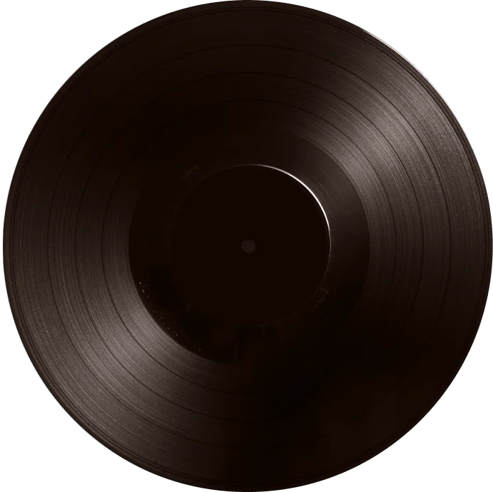 Vinyl record
